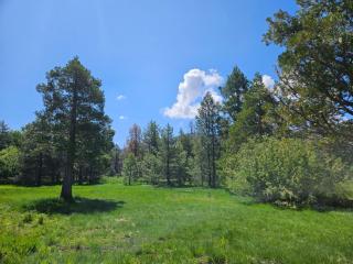 The Black Forest Lodge - Black Forest - 6