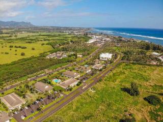 Ideal Coconut Coast Condo - Kapaa - 7