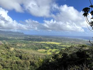 Ideal Coconut Coast Condo - Kapaa - 4