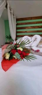 ESCAPE ZEN Oasis tropicale & Spa privatif - Loon-Plage - 5