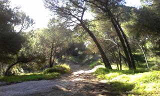 Caparica Holidays - Charneca - 7