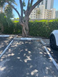 Seaside serenity studio - Pompano Beach - 4
