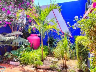 Casa Maguey - Città del Messico - 5