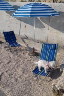 Apartments by the sea Arbanija, Ciovo - 16117 - 5