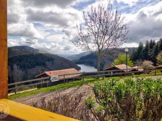 Chalet confortable avec terrasse privée, proche nature, sports et loisirs, animaux acceptés. - FR-1-496-241 - - 2