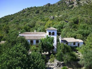 Casas Rurales Los Algarrobales - 4