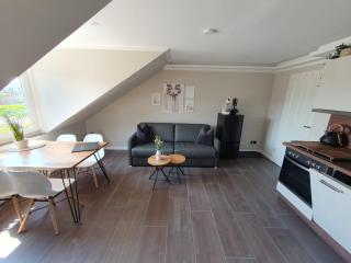 Neumühler Hof- Gemütliche Wohnung "Lenia" Parkplätze und Kongresshalle in der Nähe - Schwerin - 0