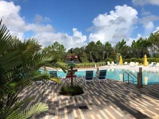 3 Bedrooms- 2,5 Bathrooms- Festival 812 Ld - Davenport - 6