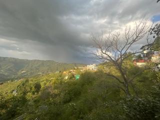 Wincliff Orchard Resort - 8