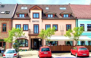 Hotel Bílý Beránek Kralovice - Kralovice - 0