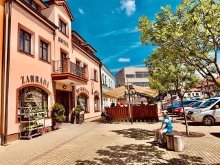 Hotel Bílý Beránek Kralovice - Kralovice - 9