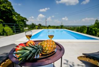 Holiday Home Beretinec Hills - 8