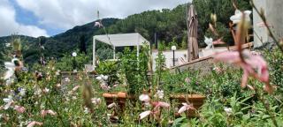 Duca House - San Giovanni - 8