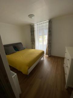 Gîte Soultzerent - Soultzeren - 9