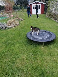 Villa meisterburg - 4