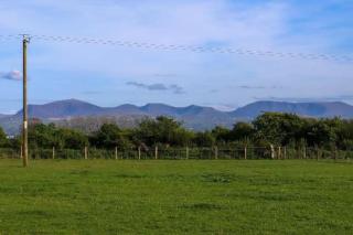 Ty Presto, Parc Y Fronwen - 8