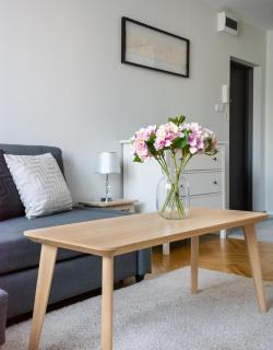 Nowogrodzka Grey Apartment by BookingHost - 6