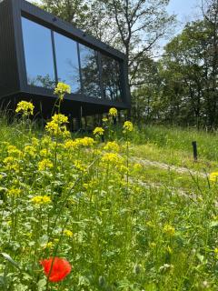 ForRest Boutique Cabin - 3