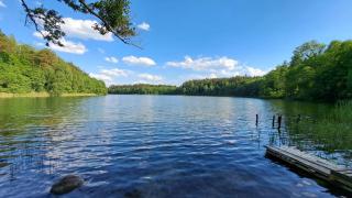 Ostoja Leśna Cisza - 1