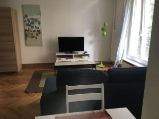 Appartement meublé proche de la Gare de Lausanne 12 - Lausanne - 9