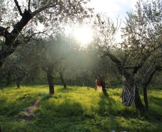 Farm Stay Herbarium - Santo Stefano di Magra - 1
