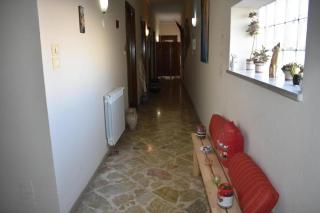 Framamired - Palermo - 2