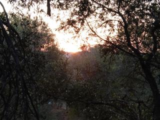 umbabala bush camp - 1