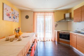 Charming Orange Apartment with Private Pool and Garden Oasis - Vabriga - 1