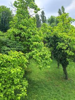 Stan na dan SISTERS - 1