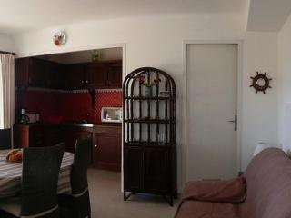Charmant appartement climatisé, parking, animaux admis - FR-1-100-221 - Cavalaire-sur-Mer - 6