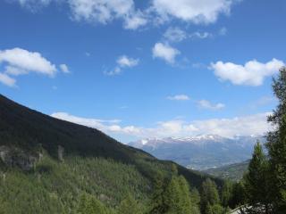 Appartement 4 pers avec piscine, jacuzzi et balcon, proche des pistes - Les Orres - FR-1-322-421 - Les Orres - 2