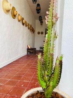 Aux quatre Voûtes - 7