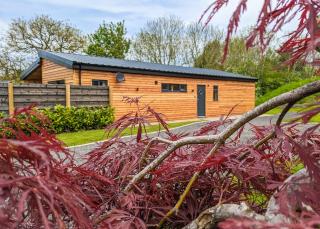 The Warrens At Foxtail - Chirk - 3
