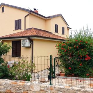 Apartments Graziella Zambratija - Zambratija - 1