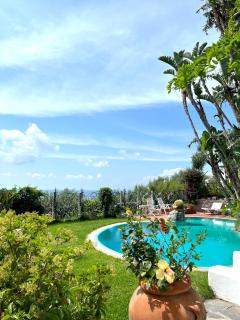 Villa Le Palme - Ischia - 6