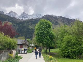 Abeille de Chamonix - Chamonix - 1