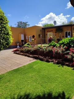 Finca El Trazo - Tacoronte - 0