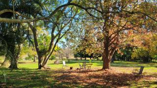 Rusty's Hideaway - Adorable tiny house on a beautiful farm - Moorland - 3