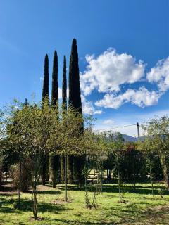 Tenuta La Quassa - Ispra - 3