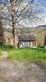 La cabane d'Hélie - Cottage en pleine forêt - Domaine du Bonsoy - Hastière-par-delà - 5