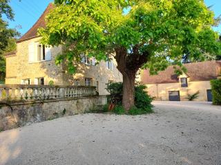 Manoir Petit Meysset - Sarlat-la-Canéda - 8