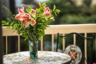 Ammare Bed & Breakfast - 4