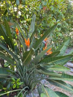 Le Cosy Garden: Apt 4 Prs, Terrasse, Piscine - Antibes - 4