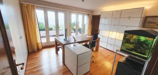 HeidiHoliday-Jenins Grand Maisonette-Attika mit Office & Relax-Bereich, Aussenparkplatz & Garage, geschützte Sonnen-Panoramaterrasse, Aufgewertet 2024 - Jenins - 1