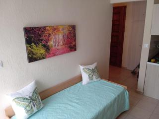 Popi' s apartment 50 metres from the sea! - Sozopoli - 9