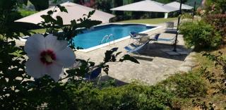 Case in campagna con piscina a Todi - Todi - 9