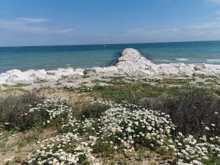 MAR SANTINI B&B - Casalbordino - 5