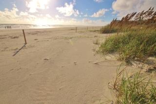 Beachside Vista - New Smyrna Beach - 6
