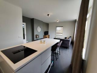 k50159 Spacious and modern apartment near the city center, free parking - 3