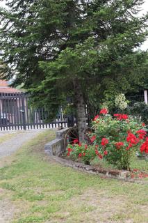 GABRY GUEST HOUSE - Bruno - 2